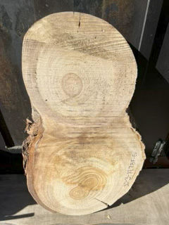 Eucalyptus